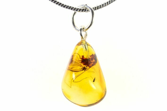 Polished Baltic Amber Pendant (Necklace) - Contains Fly! #321244